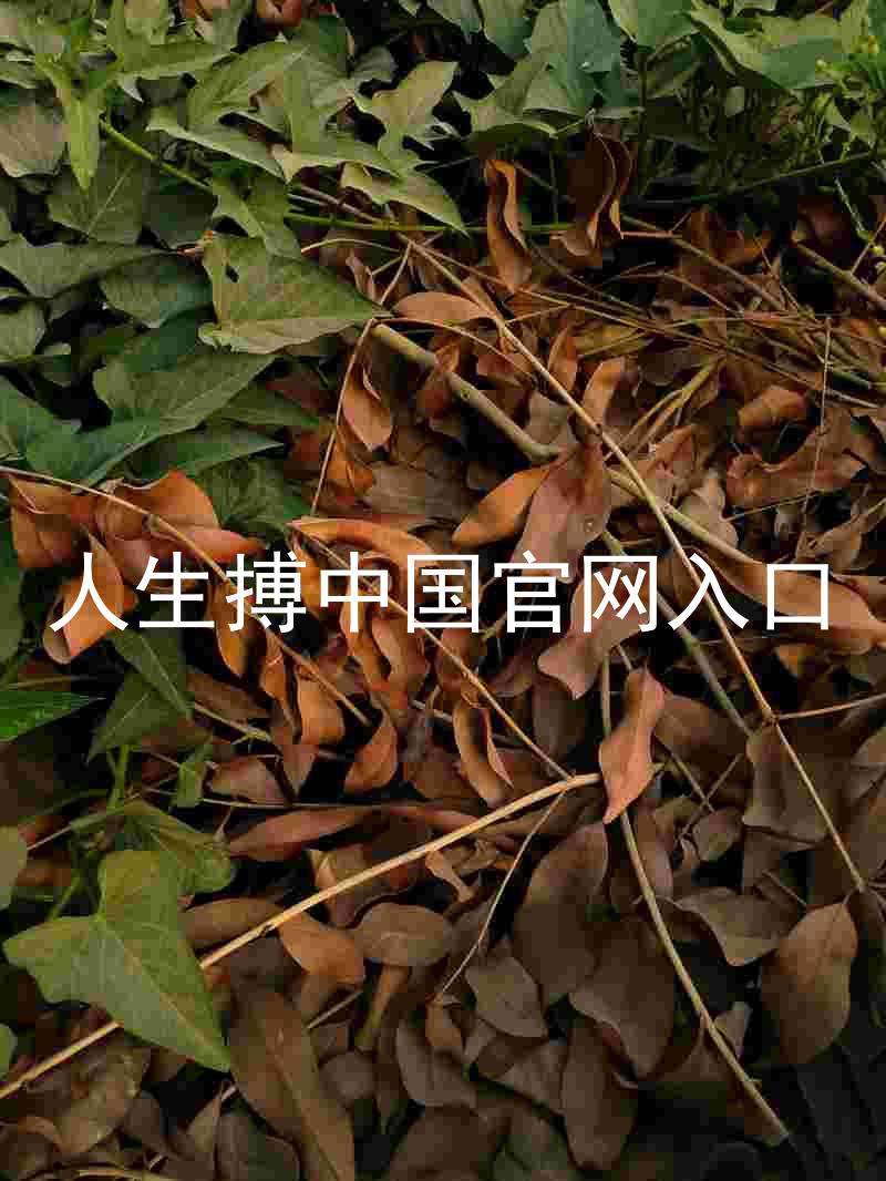 人生搏中国官网入口